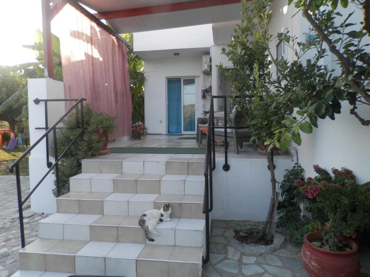 Silvi Mari Apartments Πλατανές Εξωτερικό φωτογραφία