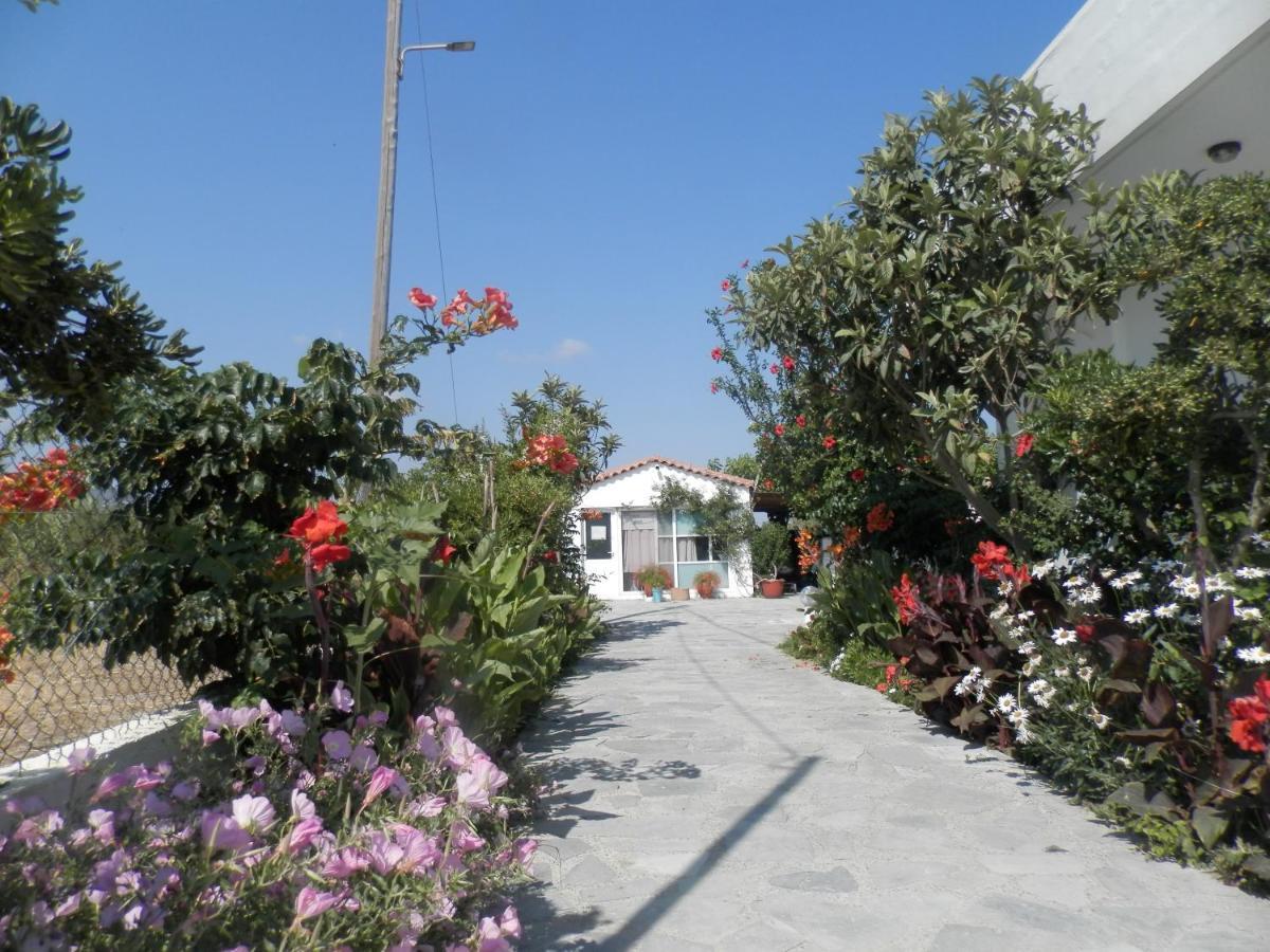Silvi Mari Apartments Πλατανές Εξωτερικό φωτογραφία