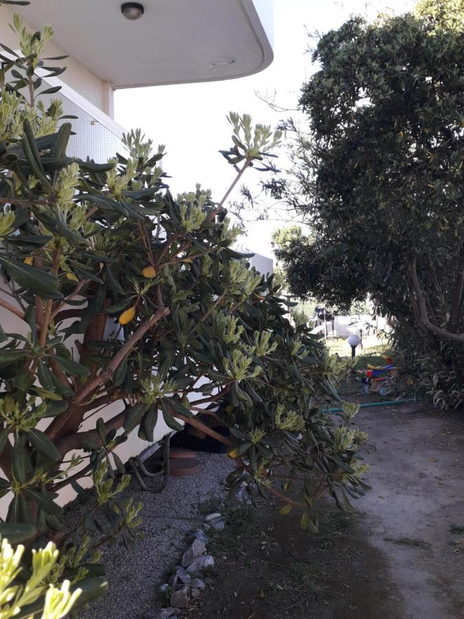 Silvi Mari Apartments Πλατανές Εξωτερικό φωτογραφία