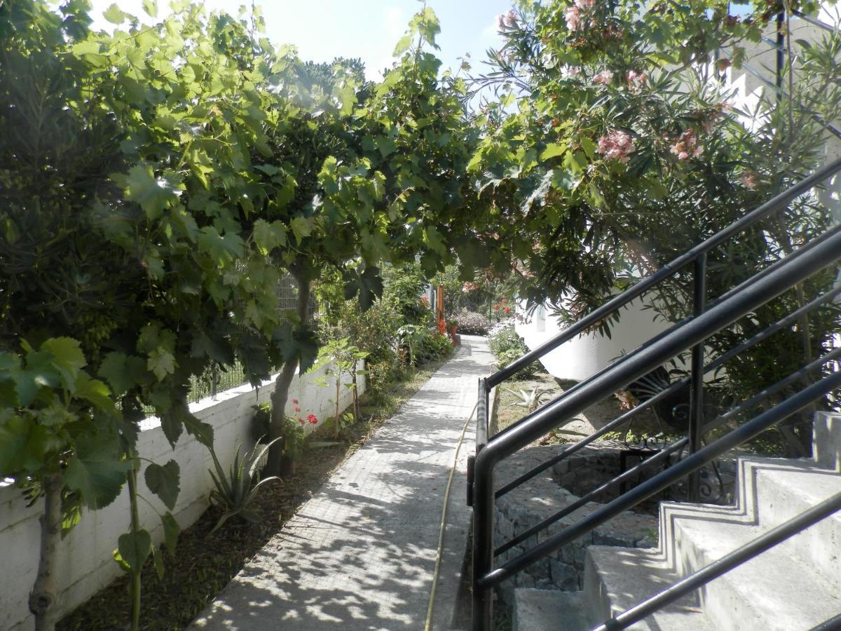 Silvi Mari Apartments Πλατανές Εξωτερικό φωτογραφία